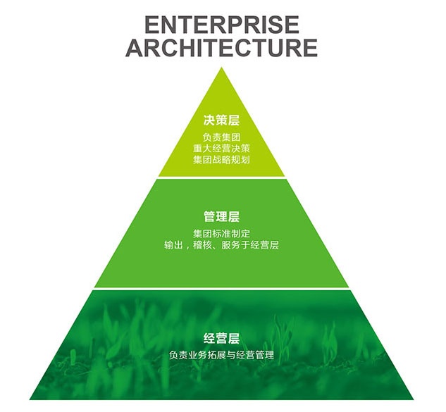 中膳架構 中膳架構